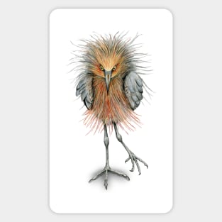 Reddish egret Sticker